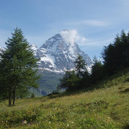 B&B A Pankeo Valtournenche Kültér fotó