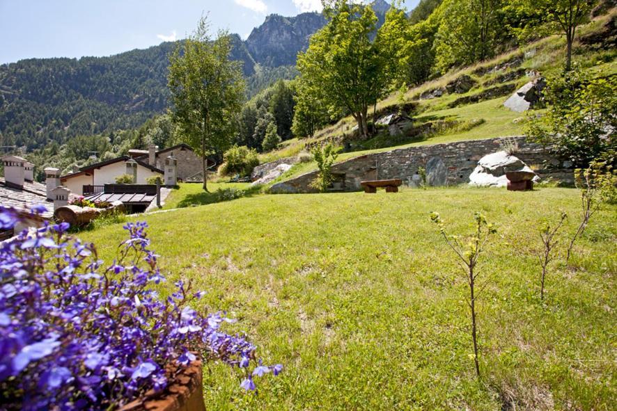 B&B A Pankeo Valtournenche Kültér fotó